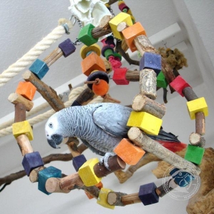 Happy Big Wheel